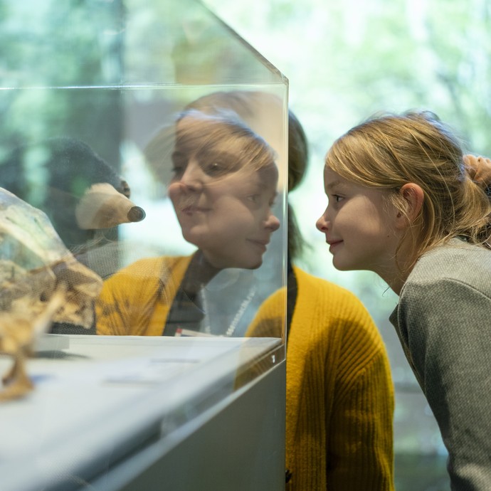 Mit Kalle in der Sonderausstellung (öffnet vergrößerte Bildansicht)