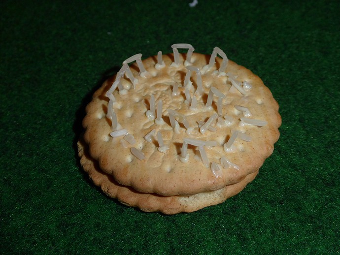Nachbau auf einem Keks mit Reiskörnern (vergrößerte Bildansicht wird geöffnet)