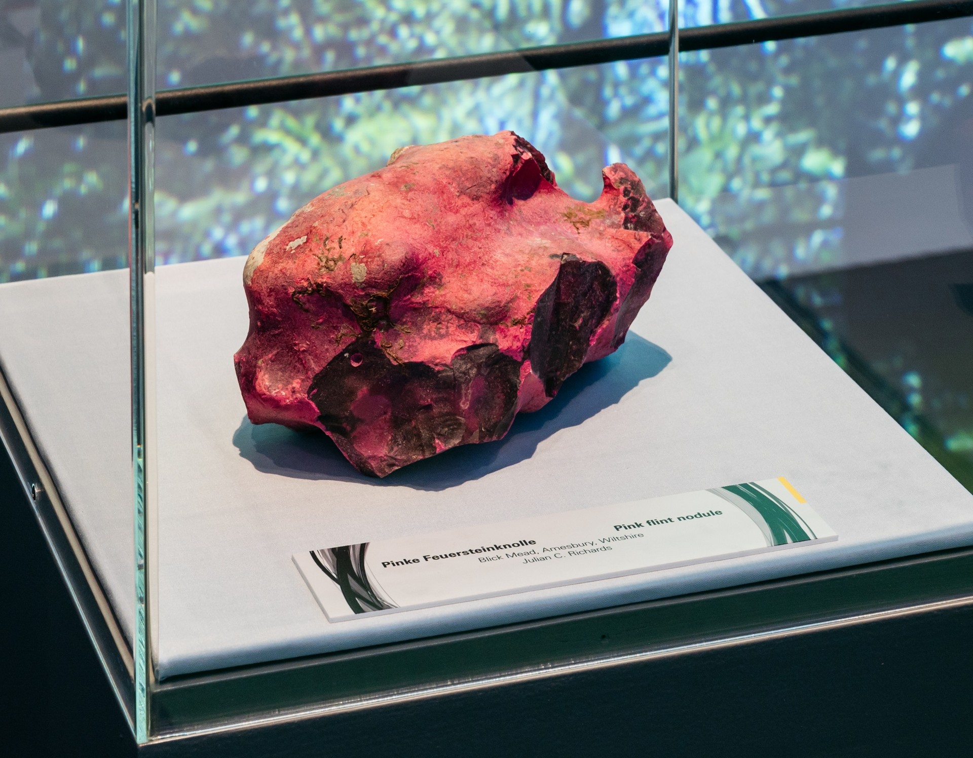 Pinkfarbene Flintknolle (Bild: © LWL/D. Sadrowski)