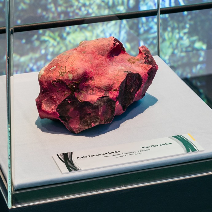 Pinke Flintknolle aus Feuerstein und Rotalgen (öffnet vergrößerte Bildansicht)
